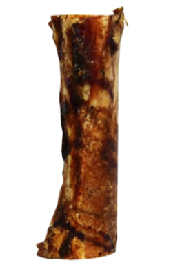 Beef Femur