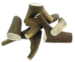Red Deer Antler