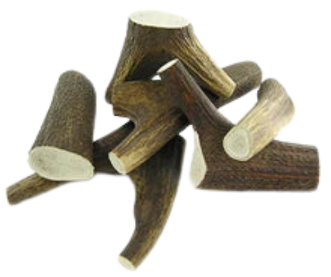 Red Deer Antler